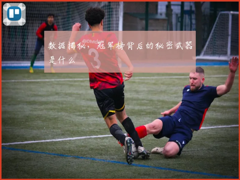 数据揭秘,冠军榜背后的秘密武器是什么