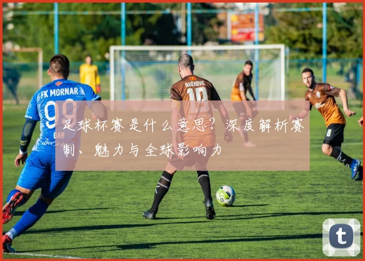 足球杯赛是什么意思?深度解析赛制、魅力与全球影响力